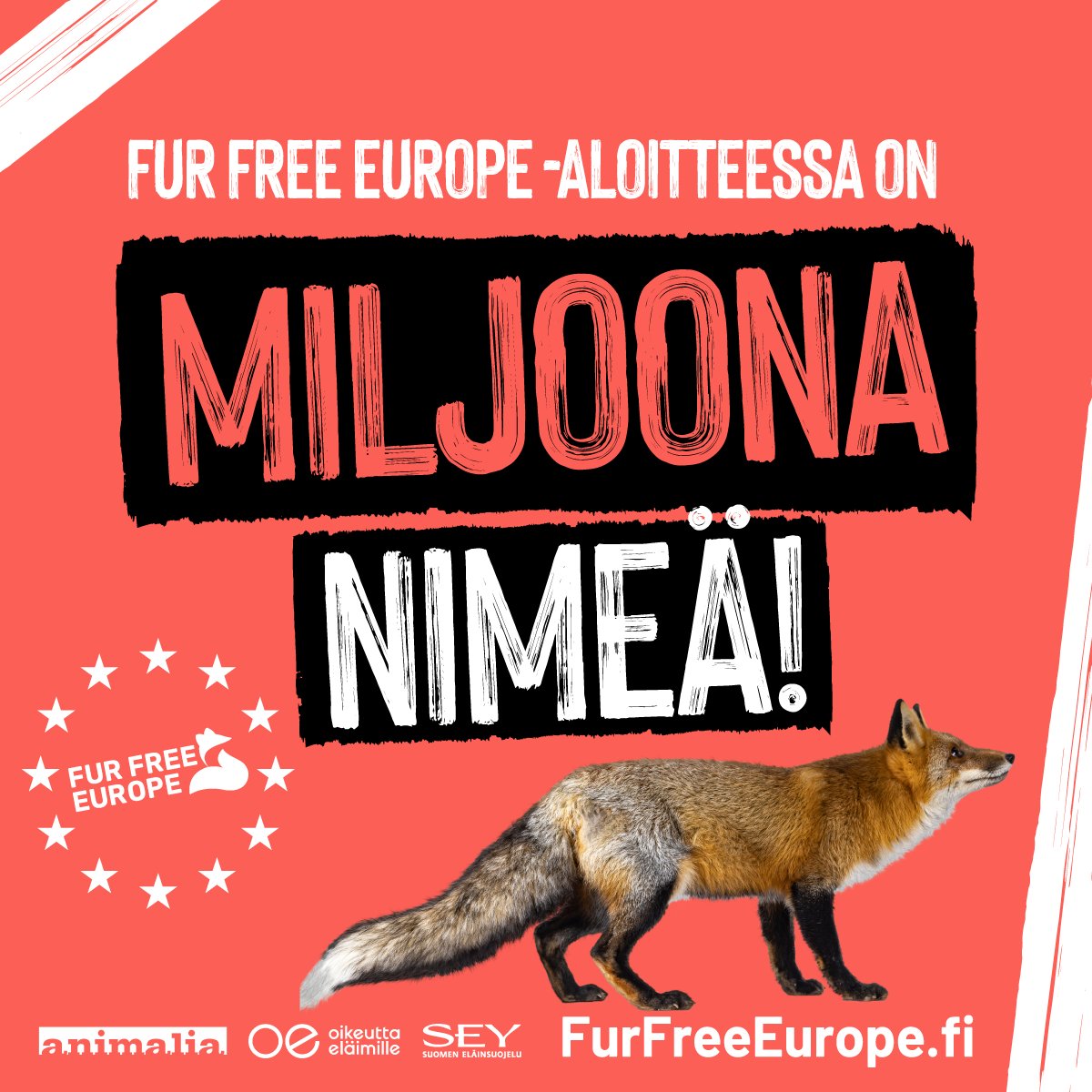 Voitto eläimille: kansalaisaloite EU:n laajuisen turkistarhauskiellon puolesta on kerännyt jo yli miljoona allekirjoitusta Euroopassa!