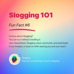 Photo by Slogging I The Slack Blogging App (@sloggingapp)