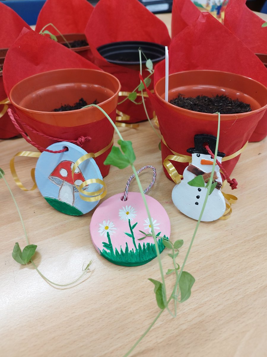 MGS Gardening tweet media