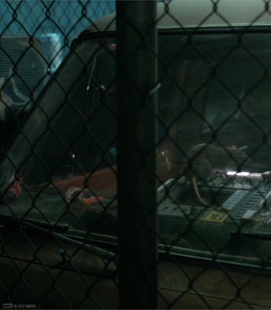 MarvelUK's tweet image. Someone get this rat the finest piece of cheese.