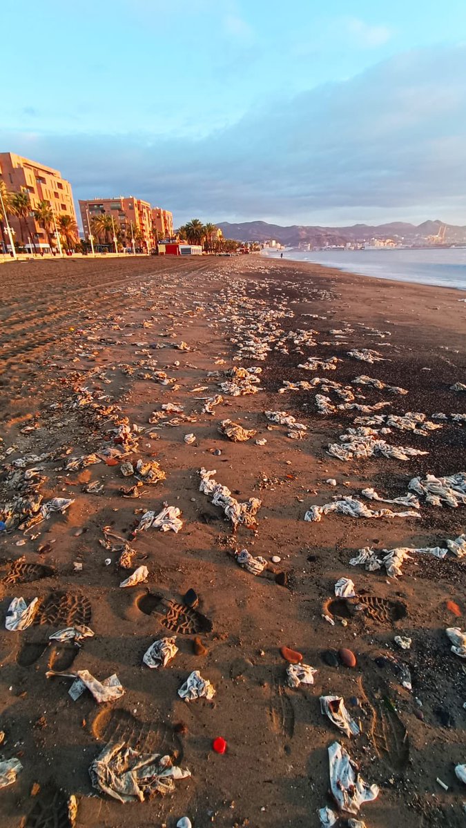 Evo_LB's tweet image. Playa de #Huelin esta mañana #Malaga cubierta de #toallitas higiénicas.Por la lluvia la depuradora habrá rebosado y habrán abierto compuertas y todo lo que tienen dentro "en reserva" va a parar a mar abierto y luego el temporal hace el resto. @AscoMalaga @malaga #noaprendemos