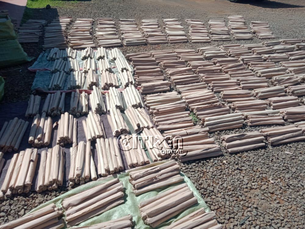 Chamgeifm1's tweet photo. Police in Makueni nab bhang worth Sh1.1 million being transported on the Mombasa- Nairobi highway. https://t.co/Yo3LhFpIzl