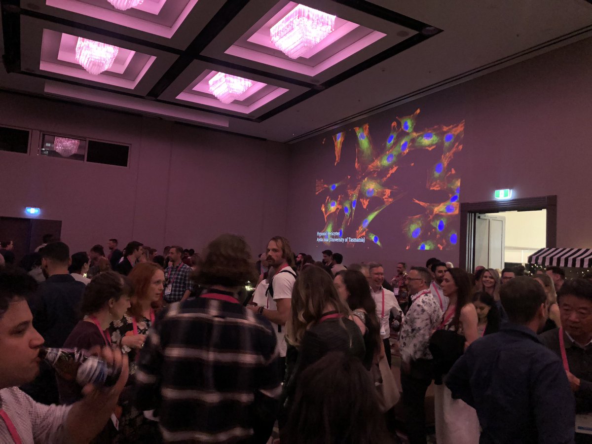 <a href="/AusNeuroSoc/">Australasian Neuroscience Society (ANS)</a> dinner kicking off with some stunning neuro images in the background 💚❤️💙 <a href="/Cerebel_Lum/">Jeremy Lum</a> <a href="/Dzung_doha/">Dzung Do-Ha</a> @Samara_Brown4 <a href="/BellaAnnLambert/">Dr Isabella Lambert-Smith</a> <a href="/stefcly/">Dr Liyu Chen</a> <a href="/TomWalker281/">Thomas Walker</a> <a href="/dezeraecox/">Dr Dezerae Cox</a> <a href="/NeuralOoi/">Lezanne</a> @postmortemgirl