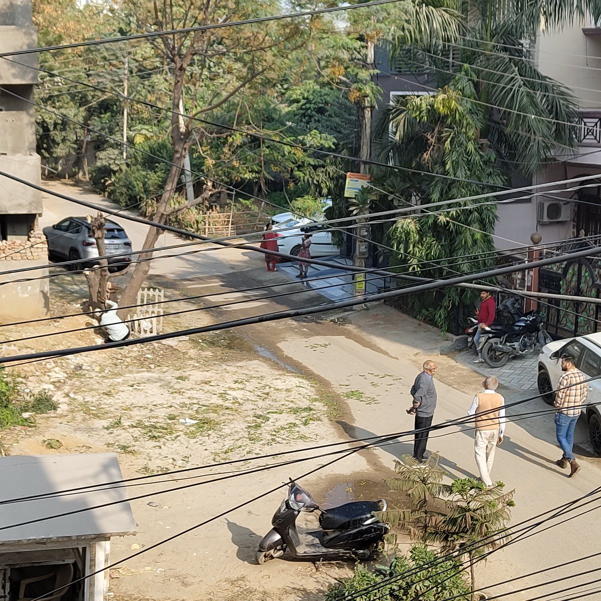 maddys2000's tweet photo. Cutting a full grown up tree without permission in Sector 45 gurgaon.
@gurgaonpolice  #deforestation #illegal #cuttingTree
@ https://t.co/bFSzg8J45I