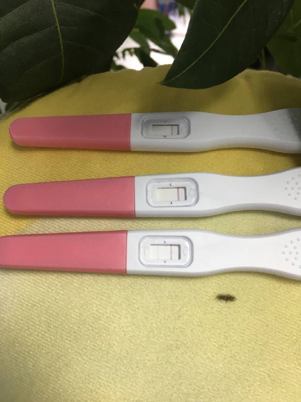 MomMedOfficial's tweet photo. What were your VERY early pregnancy symptoms? Got the bottom one, day 26.
—— Learn more in bio. 🎉🎉 🥰
#mommedttc #mommed #ivfjourney #fertility #tryingforababy #iwantababy #pregnancytest #infertility #ivf #ttc #ttccommunity #babydust https://t.co/b9AdCAHFDD