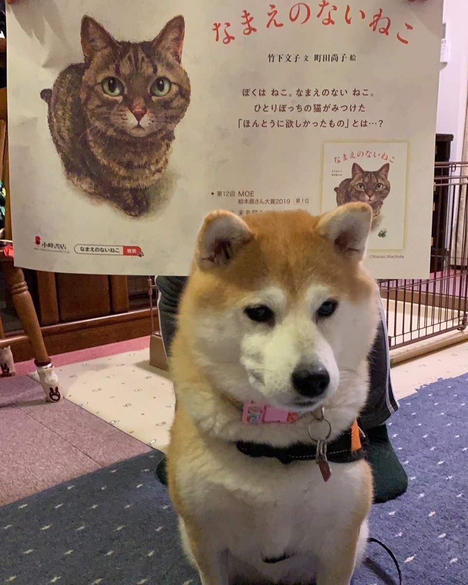 大注目 【竹下文子・町田尚子直筆サイン本】「なまえのないねこ」※絵本