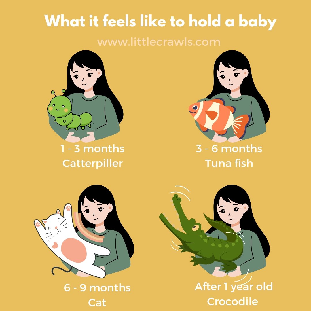 Which one are you holding right now ?? 🤣😂 or something else from these 😂😂🤣🤣🤗 #mombloggerlife #momlifestruggles #parentinghacks #momliferocks #mombloggerstribe #mombloggerindia