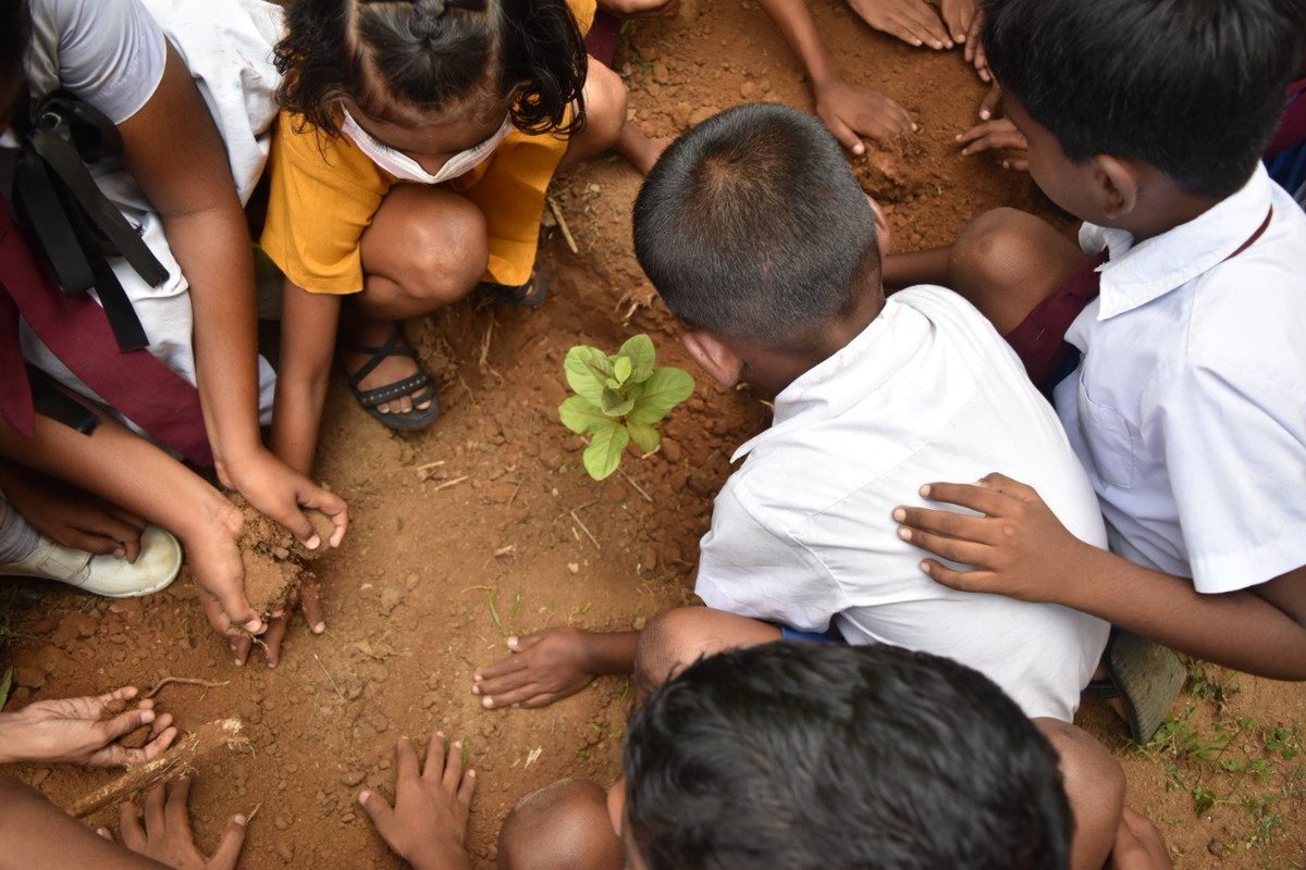 arigatou_ecp's tweet photo. Involve children in creating a sustainable future for them by tackling #ClimateChange through tree planting
Join our 'Grow trees with children' campaign > https://t.co/0vxtainhqs
#ECPAt10 https://t.co/uI62GmmVeG