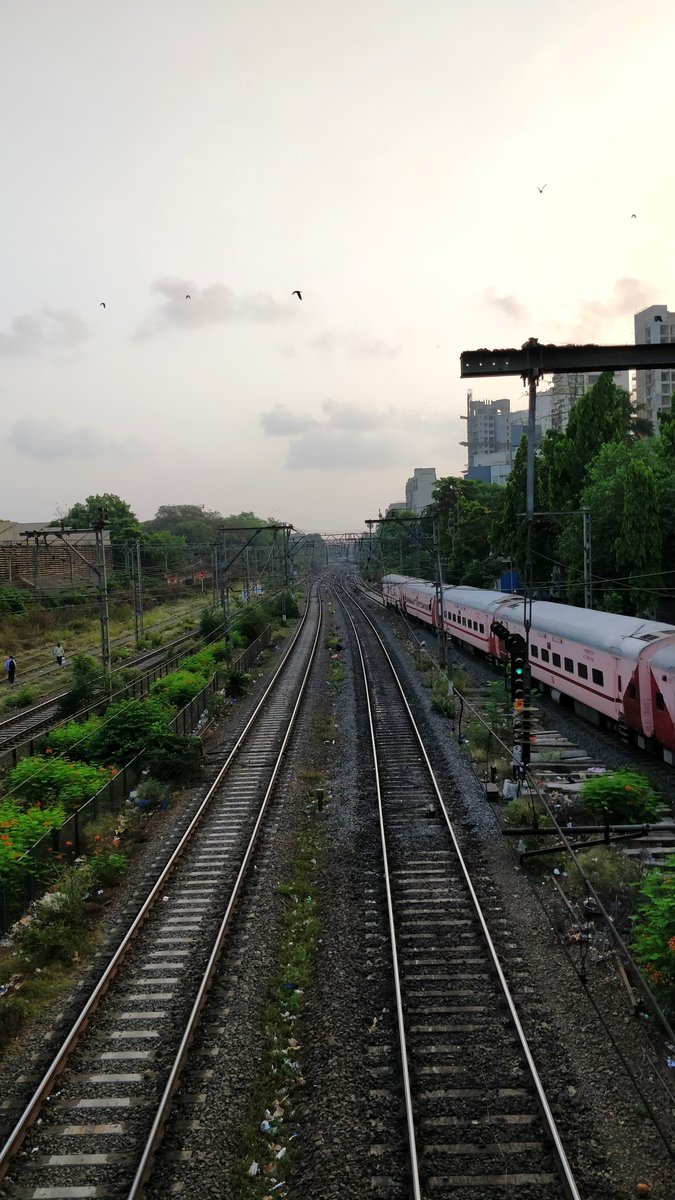 dakuwithchaku's tweet photo. #Mumbai #Matuga https://t.co/9YXtUrYN5B