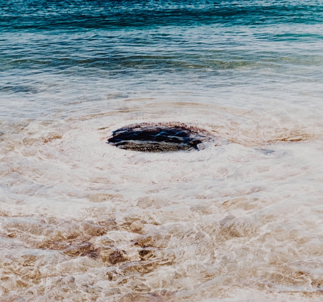 Next Nature tweet media