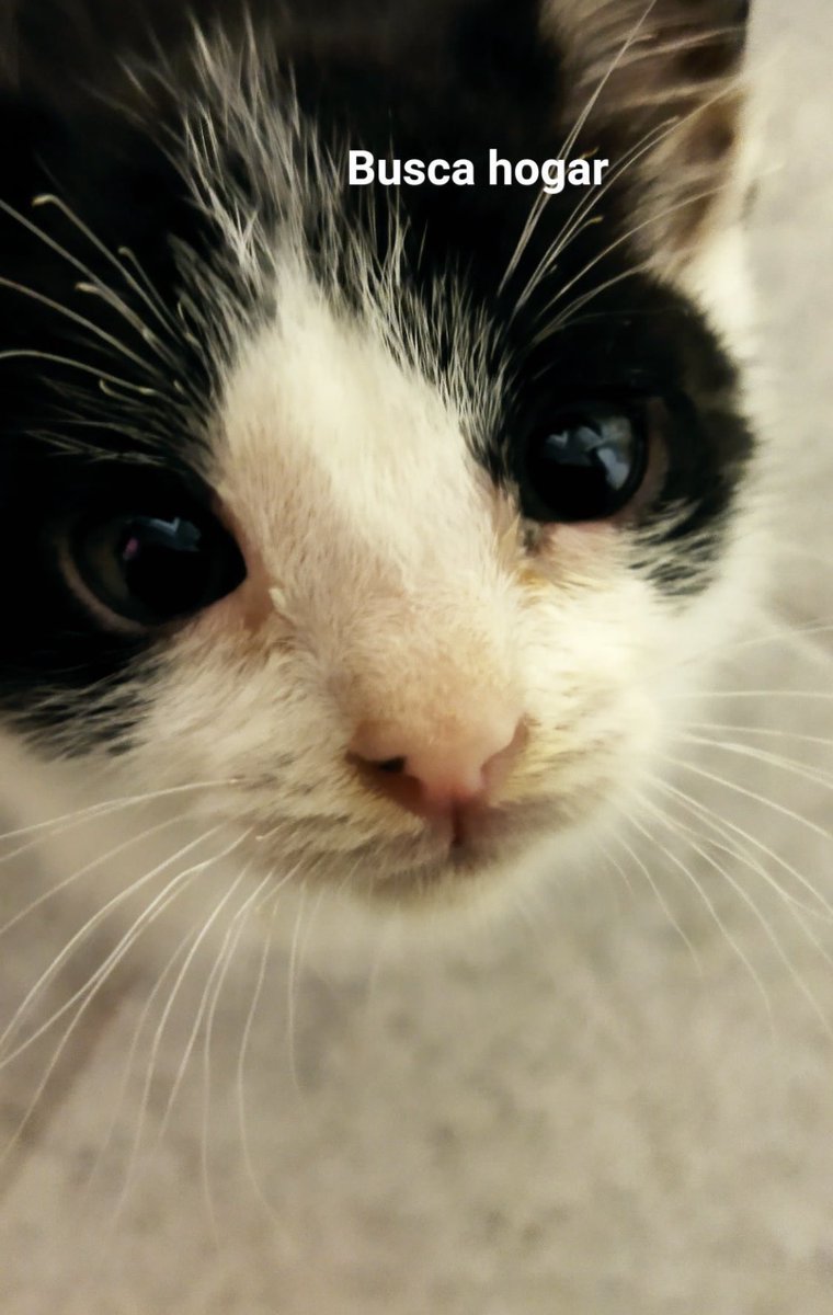 Sara 🎞️🍂🌸 - Raye’s support act tweet media