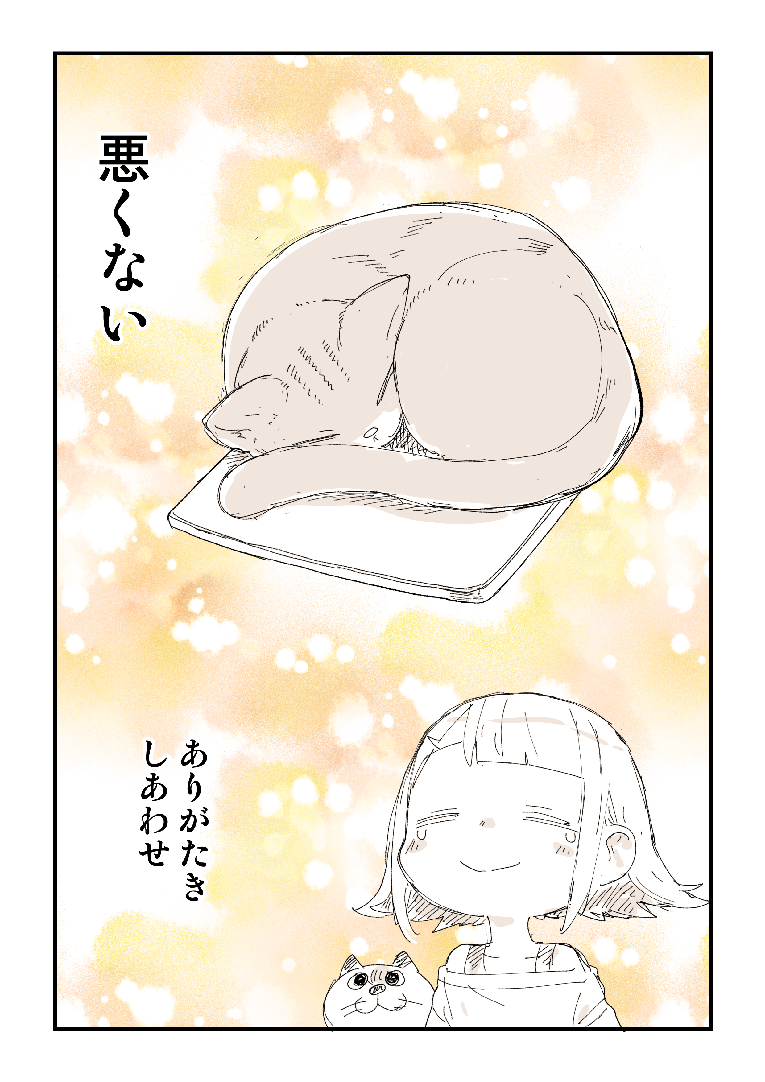 サマーセール ミニグランド バンドル ぬこー様ちゃん@ロードバイク狂 on X:  キャラクターグッズ