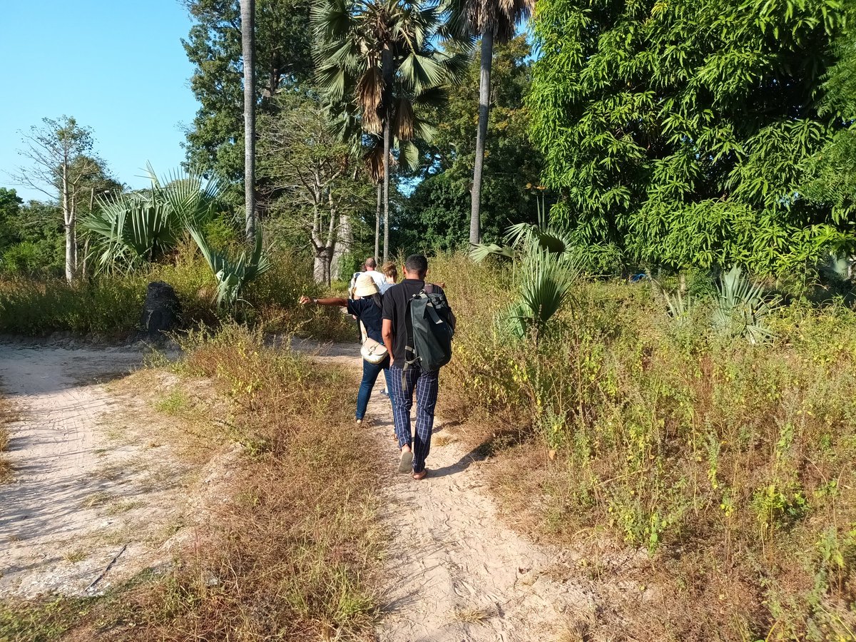 nick_pld's tweet photo. We're off to see the mangroves! https://t.co/Ra0kQztyeV