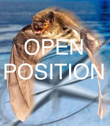 🚨4-year PhD position available in my group (starting asap in 2023) @UniOldenburg @SFB_1372 🚨 More info here sfb1372.de/nav03 or uol.de/stellen?stelle… DL: July 21st Dec🎅 We appreciate any RT! #bats #animalnavigation #magnetoreception #sensorybiology #mammalmigration