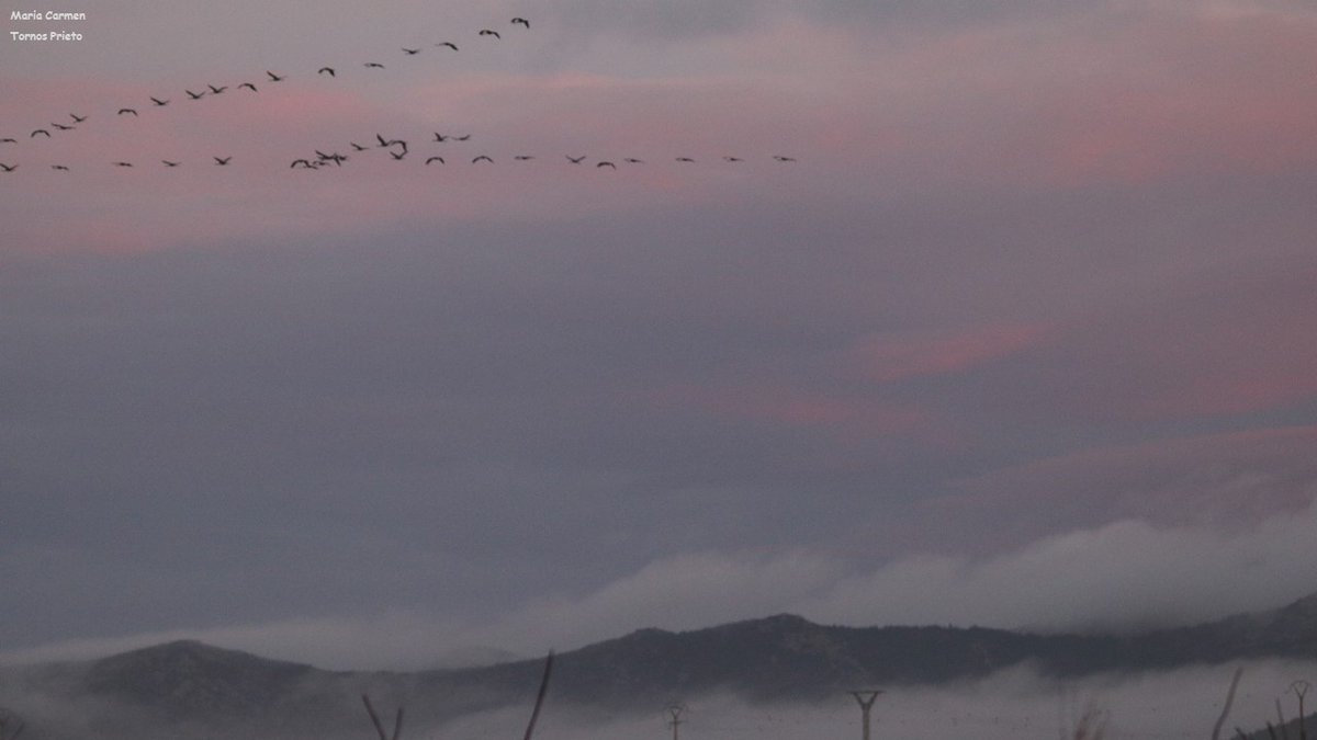 CIGALLOCANTA's tweet photo. Un amanecer diferente ...
Buen y feliz día para todos.
Martes 6 de diciembre.
#Santed #Used https://t.co/YiE7IBG09L