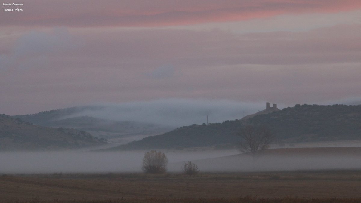CIGALLOCANTA's tweet photo. Un amanecer diferente ...
Buen y feliz día para todos.
Martes 6 de diciembre.
#Santed #Used https://t.co/YiE7IBG09L
