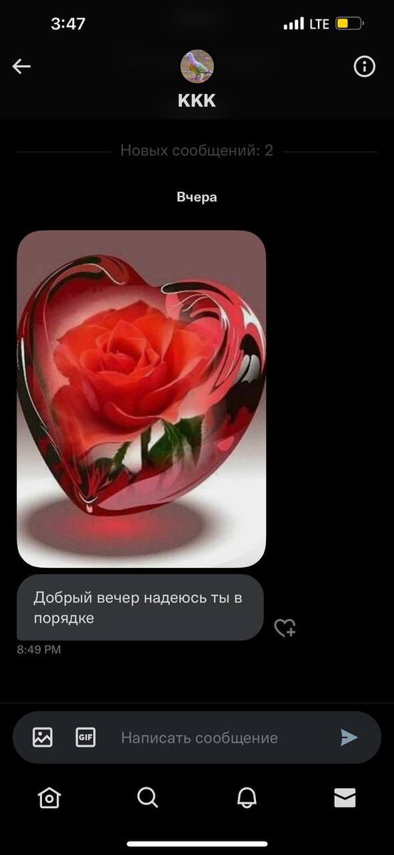 даша tweet media
