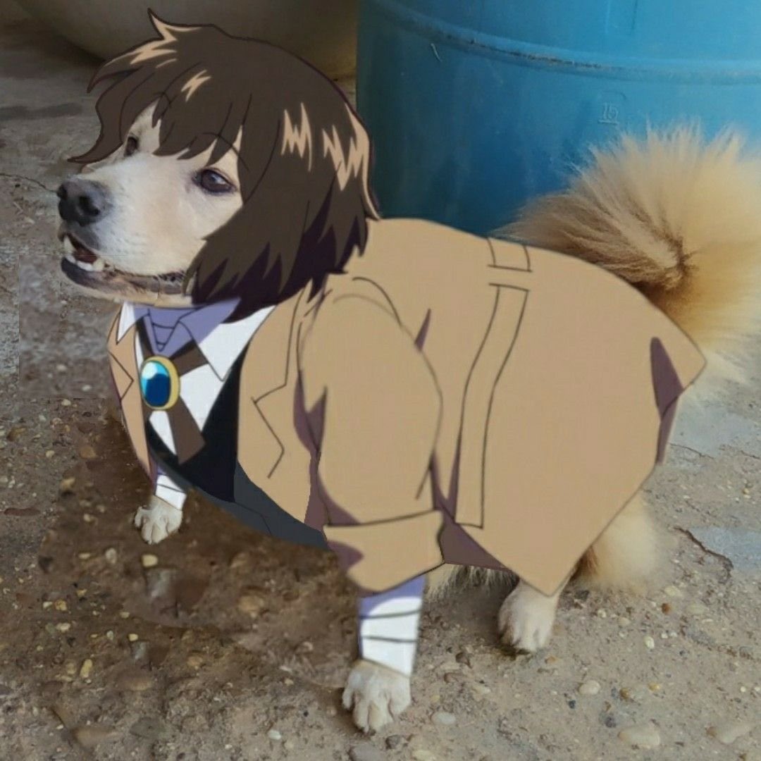 Собака из БСД