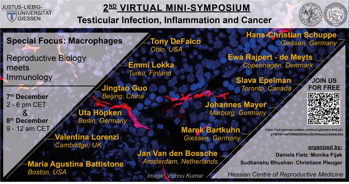 Our annual 2nd Virtual Mini-Symposium
"Testicular Infection, Inflammation and Cancer"  will take place this Wednesday 7th and Thursday 8th of December 2022. 
We have some great keynote speakers for both days; join us for the great symposium. 
It is free and without registration.