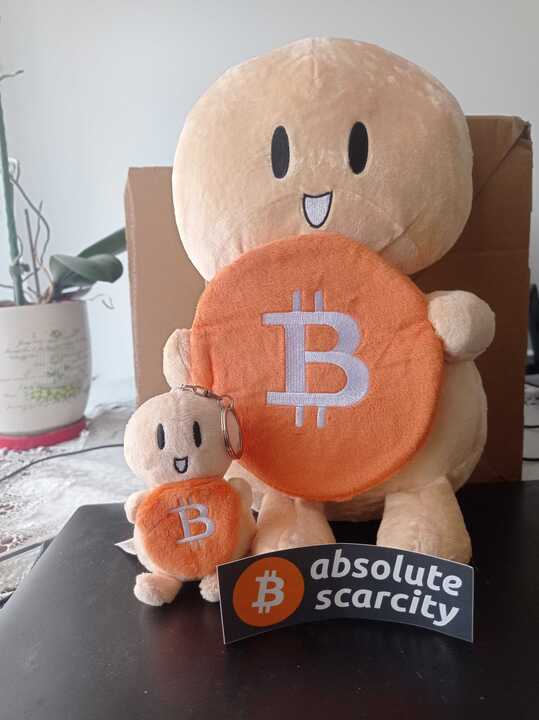 bitfortip's tweet photo. @LinaSeiche Just arrived! They are really cute! 😍

Thank you 🔥

#LittleHodler #TheLittleHODLer 

#bitcoin $BTC https://t.co/Y5Y11tkXR5