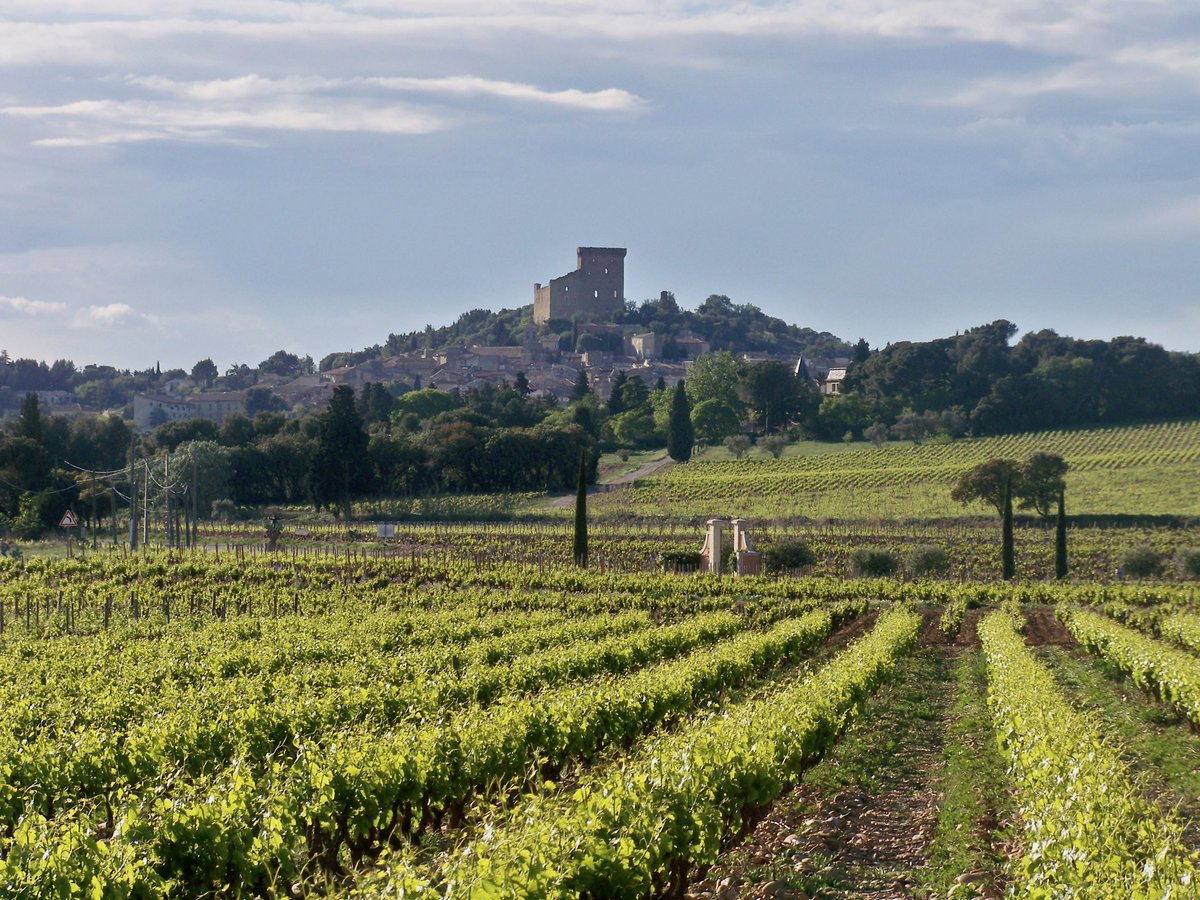 #WineTravelTuesday 😍 Full-Day Private Châteauneuf Du Pape Tour With Fine Wine Experience 🥂 Châteauneuf-du-Pape is the heart of a region full of history, culture and joie de vivre😌 Book now: winerist.com/wine-tours/fra… #winerist #winetravel #winetourism #winetasting #winelovers