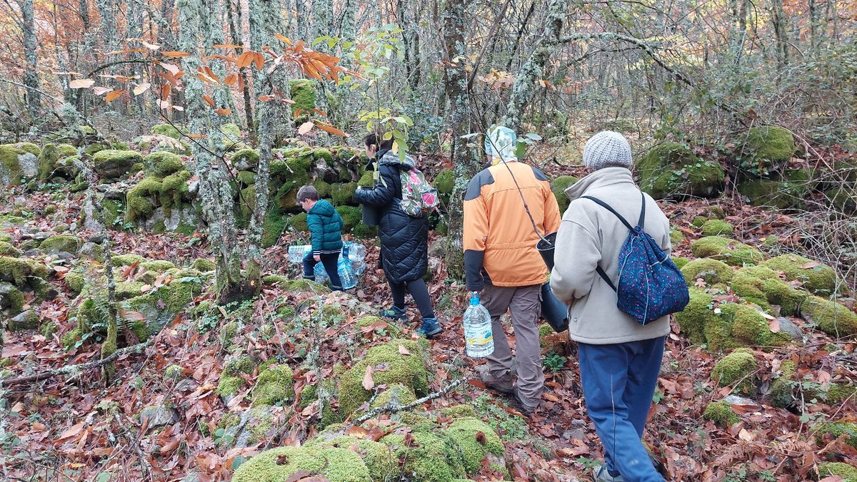 DIVA-AMBROZ tweet media