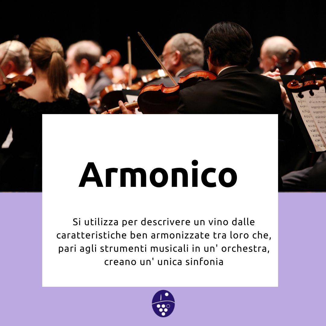 🍷 𝑮𝒍𝒐𝒔𝒔𝒂𝒓𝒊𝒐 𝑫𝒊𝑽𝒊𝒏𝒐 🍷
𝑨𝒓𝒎𝒐𝒏𝒊𝒄𝒐 
L’ armonia degli strumenti ben si coniuga con quella che ritroviamo nei calici di 𝐎𝐫𝐜𝐢𝐚𝐃𝐨𝐜, donando al palato ed all’ olfatto le medesime emozioni di una complessa sinfonia.
#orciaDOC
#armonico
#winelovers 
#vino