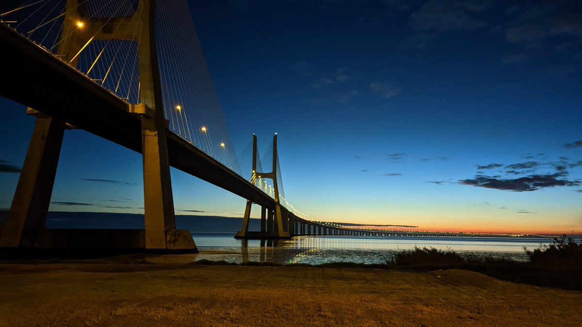 Tamecka McKay tweet media