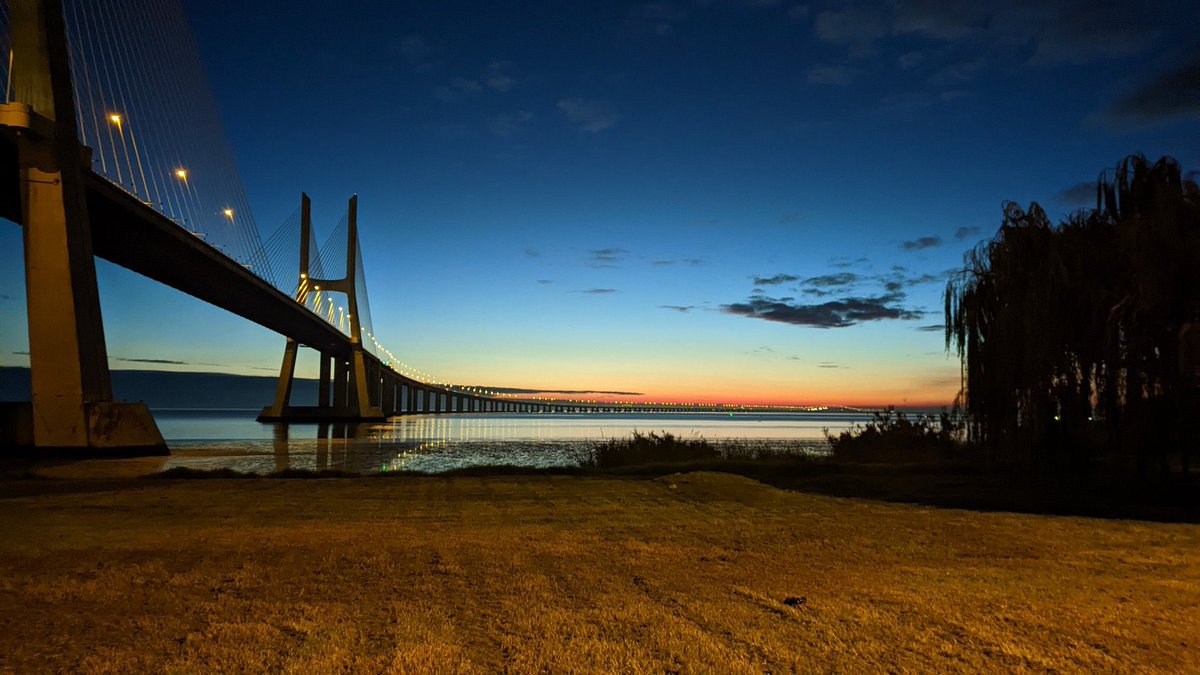 Tamecka McKay tweet media