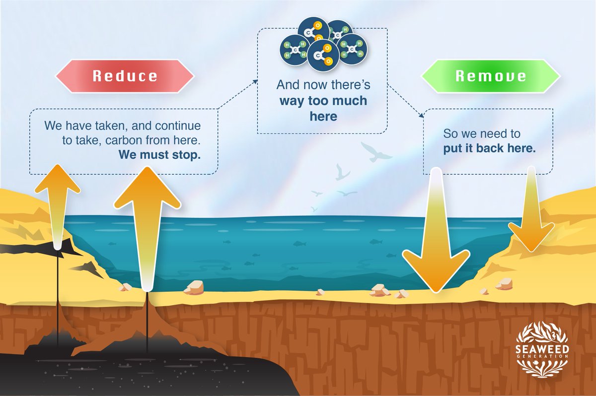 SeaGen_'s tweet photo. Climate change is all about carbon that is in the wrong place.

We need to Reduce + Remove! We're doing that with seaweed + robots. 

Checkout out https://t.co/G9gjK8eJiv to see how you can be part of our adventure! https://t.co/jnFLS77KXm