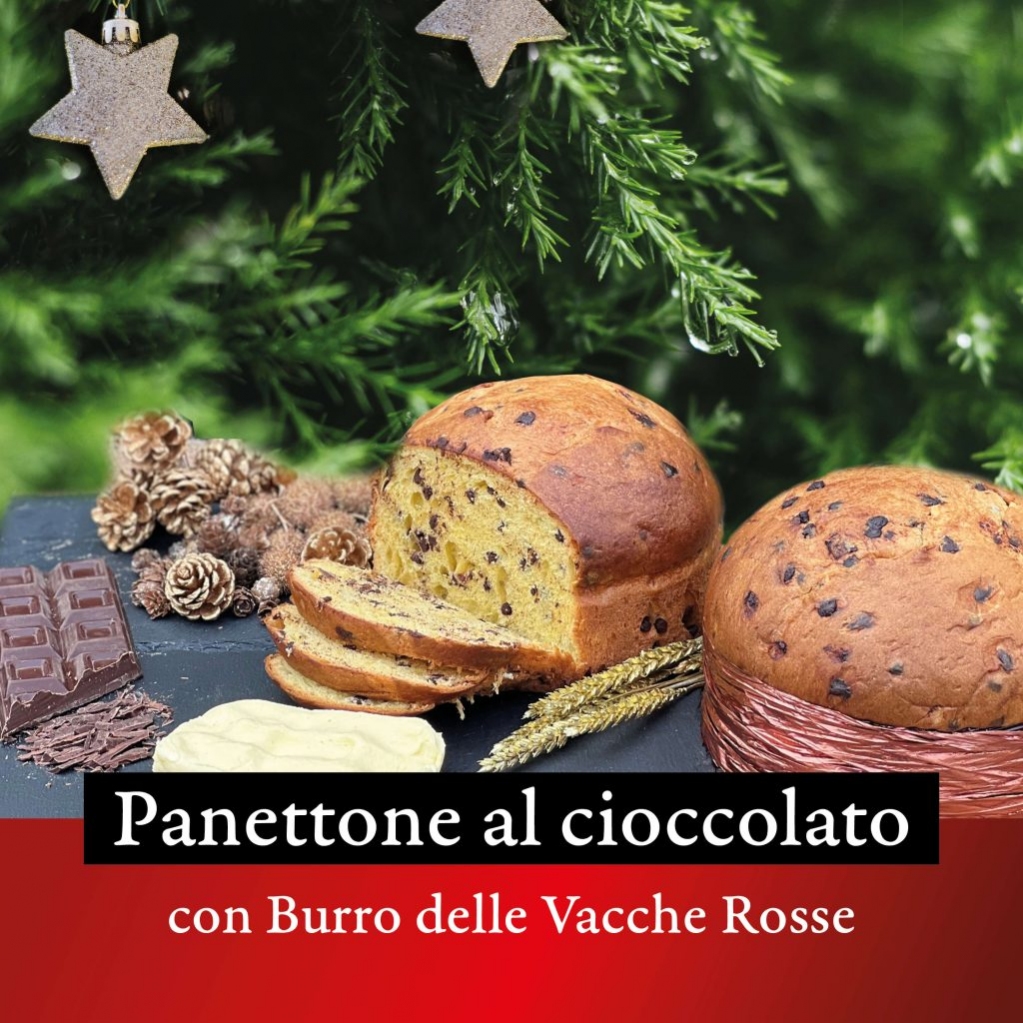 La bontà è il dono migliore che si può fare
Scopri il nostro #panettoneartigianale con gocce di cioccolato, che unisce la genuinità del lievito madre al sapore morbido del #burrovaccherosse e alla dolcezza del cioccolato. Lo trovi qui: bit.ly/3ujMJHd