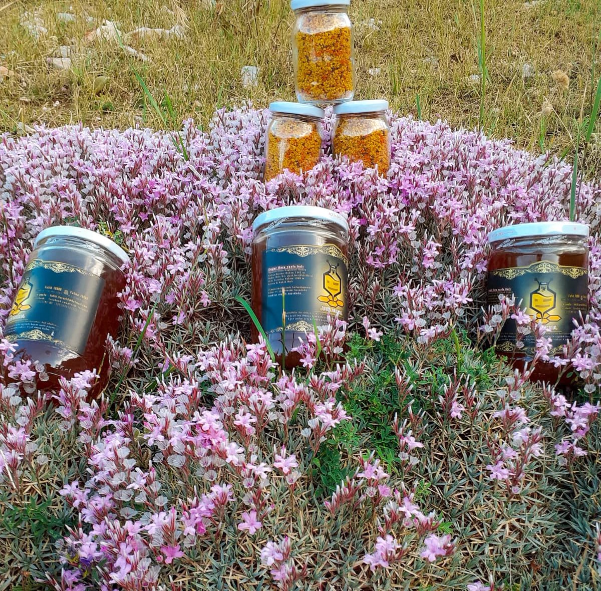 UNDPEurasia's tweet photo. Fatma and Fatih Turan are "busy bees"!
๐๐ฏ The family is hard at work keeping beehives in one of the oldest districts in Konya province, #Turkiye.
Read how apiculture has changed their lives:๐https://t.co/2g8xQMYQoq
#COP15montreal #COP15 https://t.co/jNGiS6pXgb