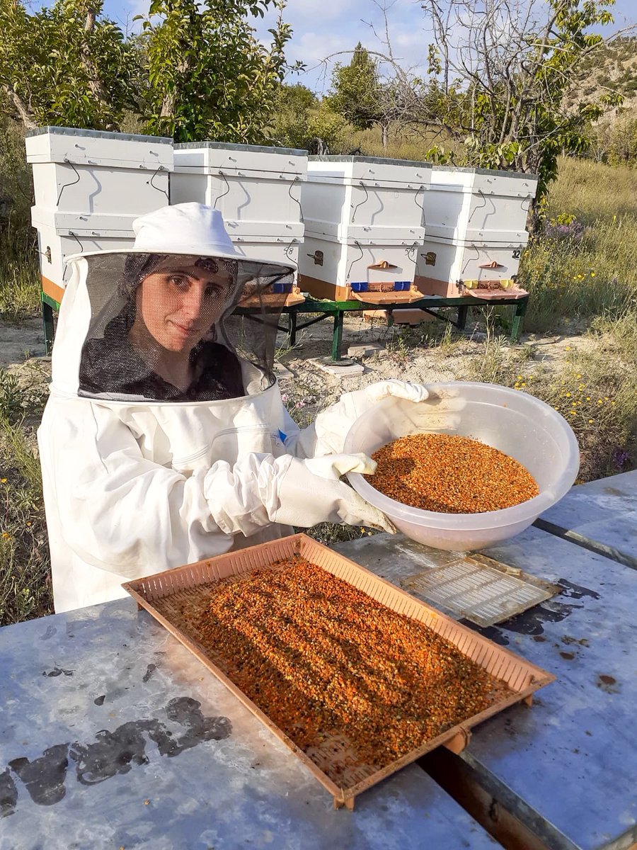 UNDPEurasia's tweet photo. Fatma and Fatih Turan are "busy bees"!
๐๐ฏ The family is hard at work keeping beehives in one of the oldest districts in Konya province, #Turkiye.
Read how apiculture has changed their lives:๐https://t.co/2g8xQMYQoq
#COP15montreal #COP15 https://t.co/jNGiS6pXgb
