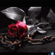 #صورة_ملف_شخصي_جديدة