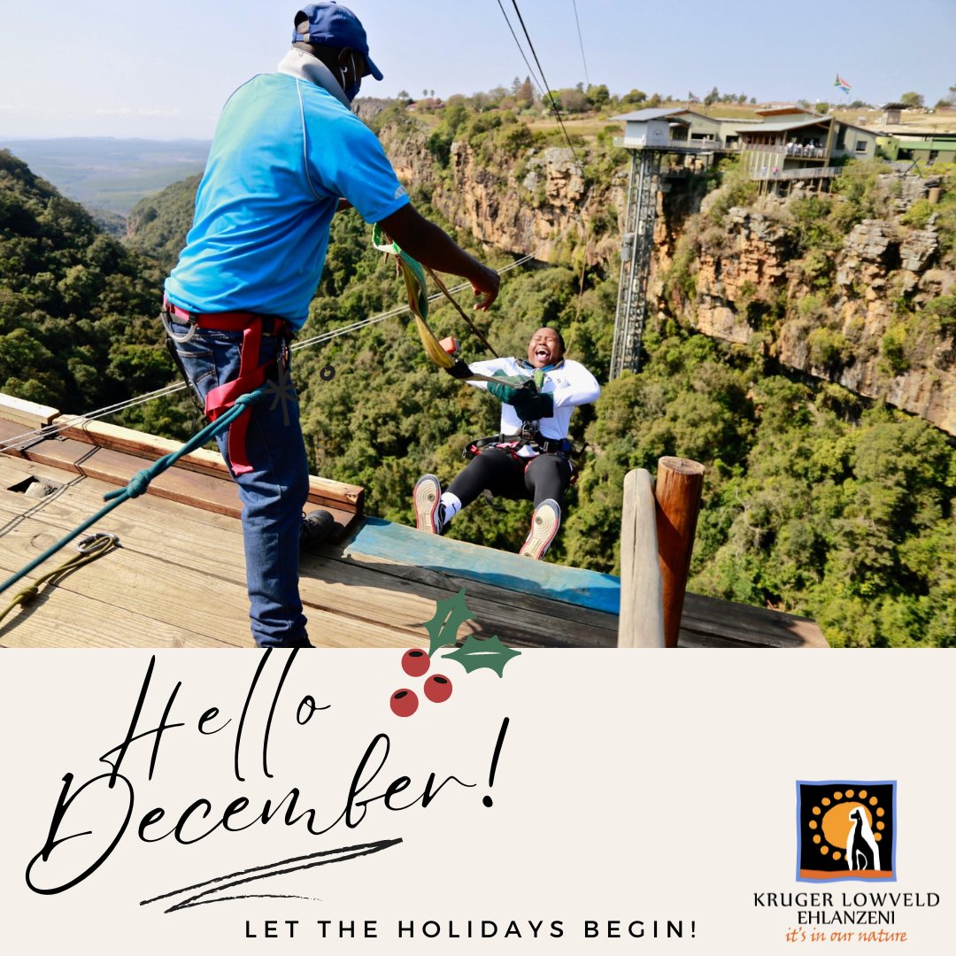 Make this festive season an awesome one!