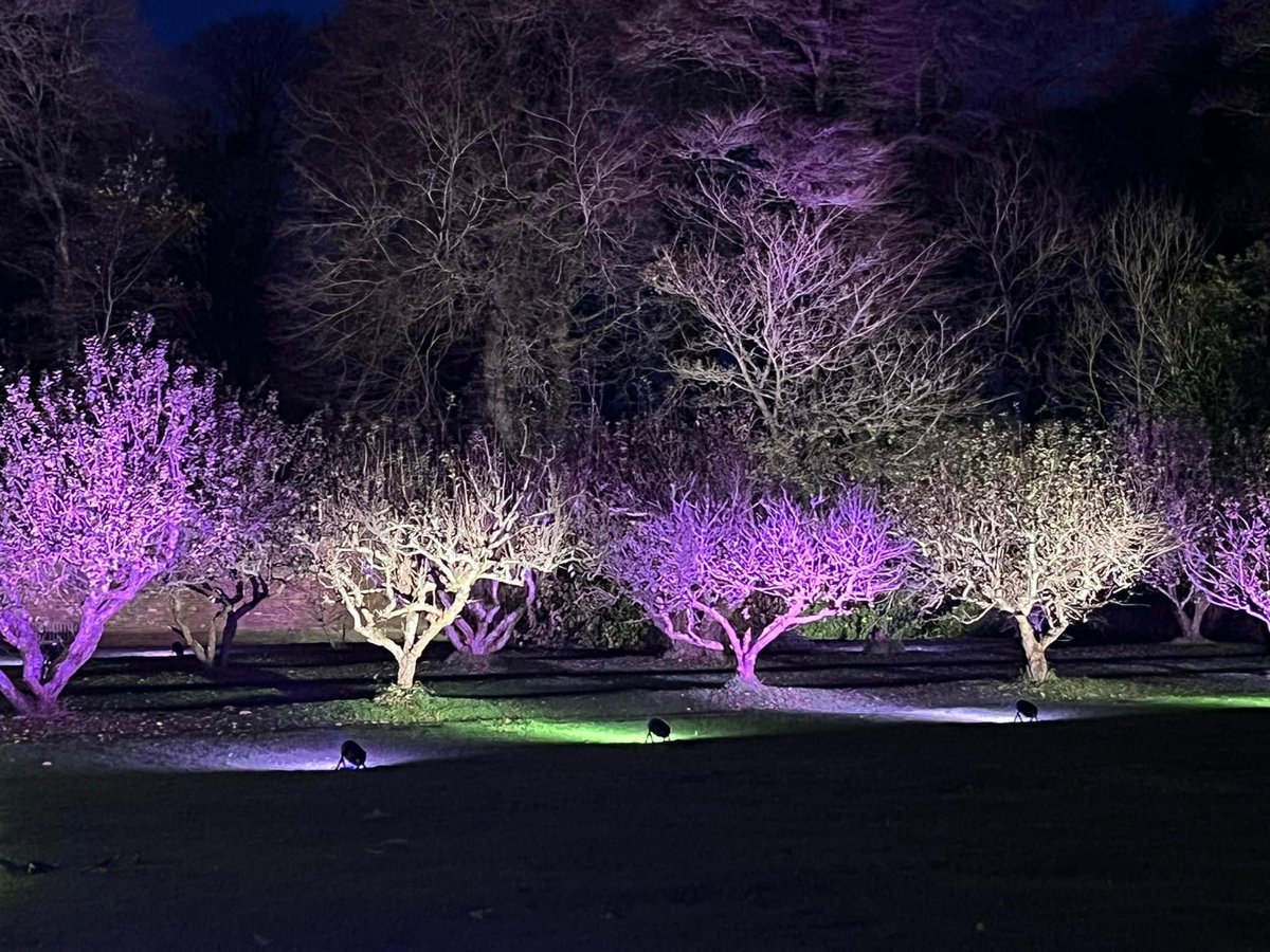 CosmicXposure's tweet photo. Many thanks to @TrengwaintonNT for a magical night last night and for having such lovely staff, mince pie and mulled wine in a magical setting #trengwaintongardens #madron #cornwall #cosmicxposure #xmas2022 https://t.co/KvlakSuTLo