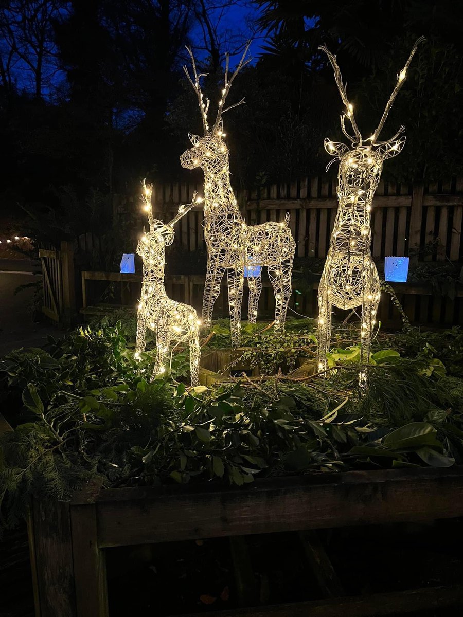 CosmicXposure's tweet photo. Many thanks to @TrengwaintonNT for a magical night last night and for having such lovely staff, mince pie and mulled wine in a magical setting #trengwaintongardens #madron #cornwall #cosmicxposure #xmas2022 https://t.co/KvlakSuTLo
