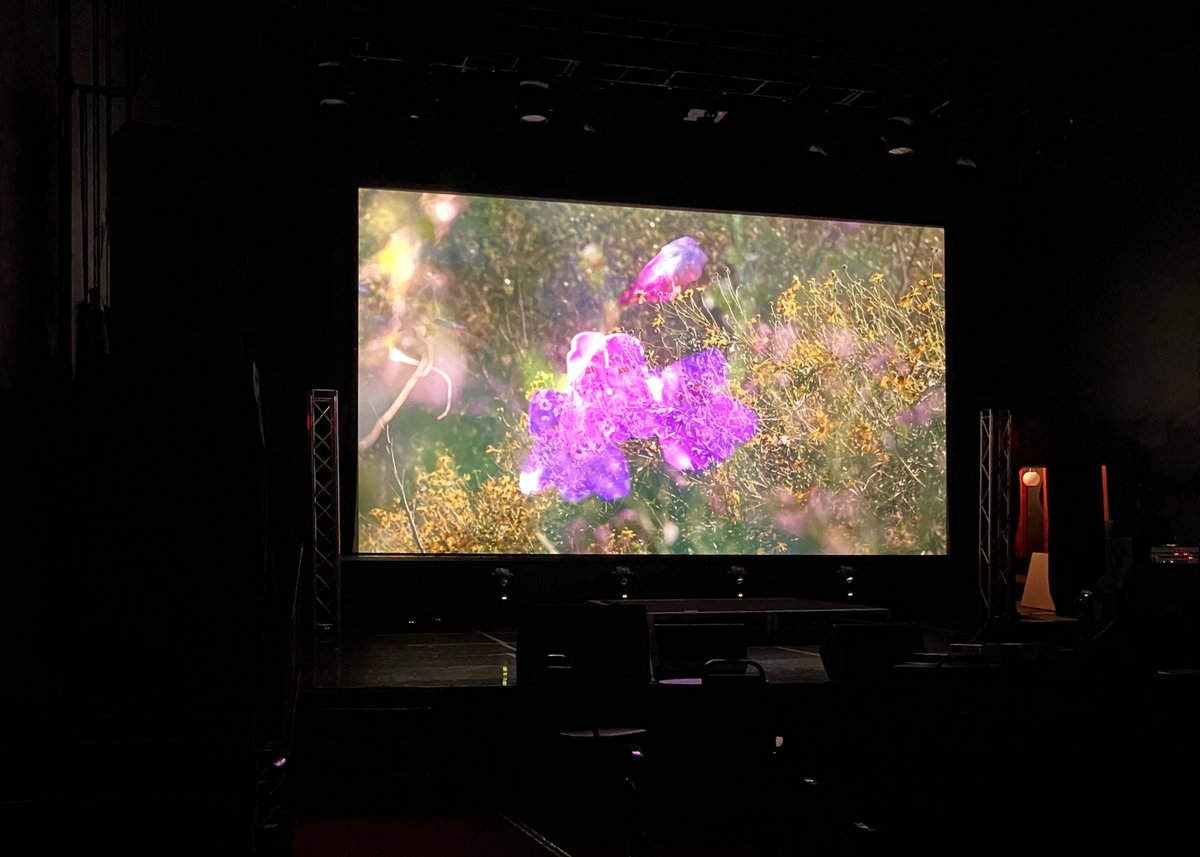 HalinaKliem's tweet photo. Thank you to the Miracle Theater in Inglewood for having us! #inglewoodopenstudios #fiveminutesintheballonawaachngawetlands #ballonawaachngaproject #danielrothman #halinakliem https://t.co/TjNvdIMIYa