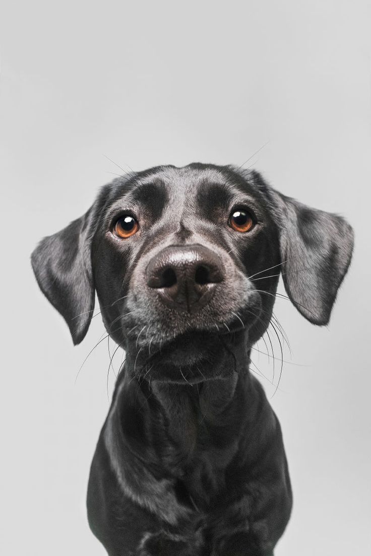 trustytailsdog's tweet photo. Why Choose Trusty Tails To Care For Your Pets?
- A Full Service Pet Care Company
- Professional, Passionate, Pet Lovers.
- Neighborhood Support
- Online Convenience.
- Accountability to You. https://t.co/emXMsZekK3