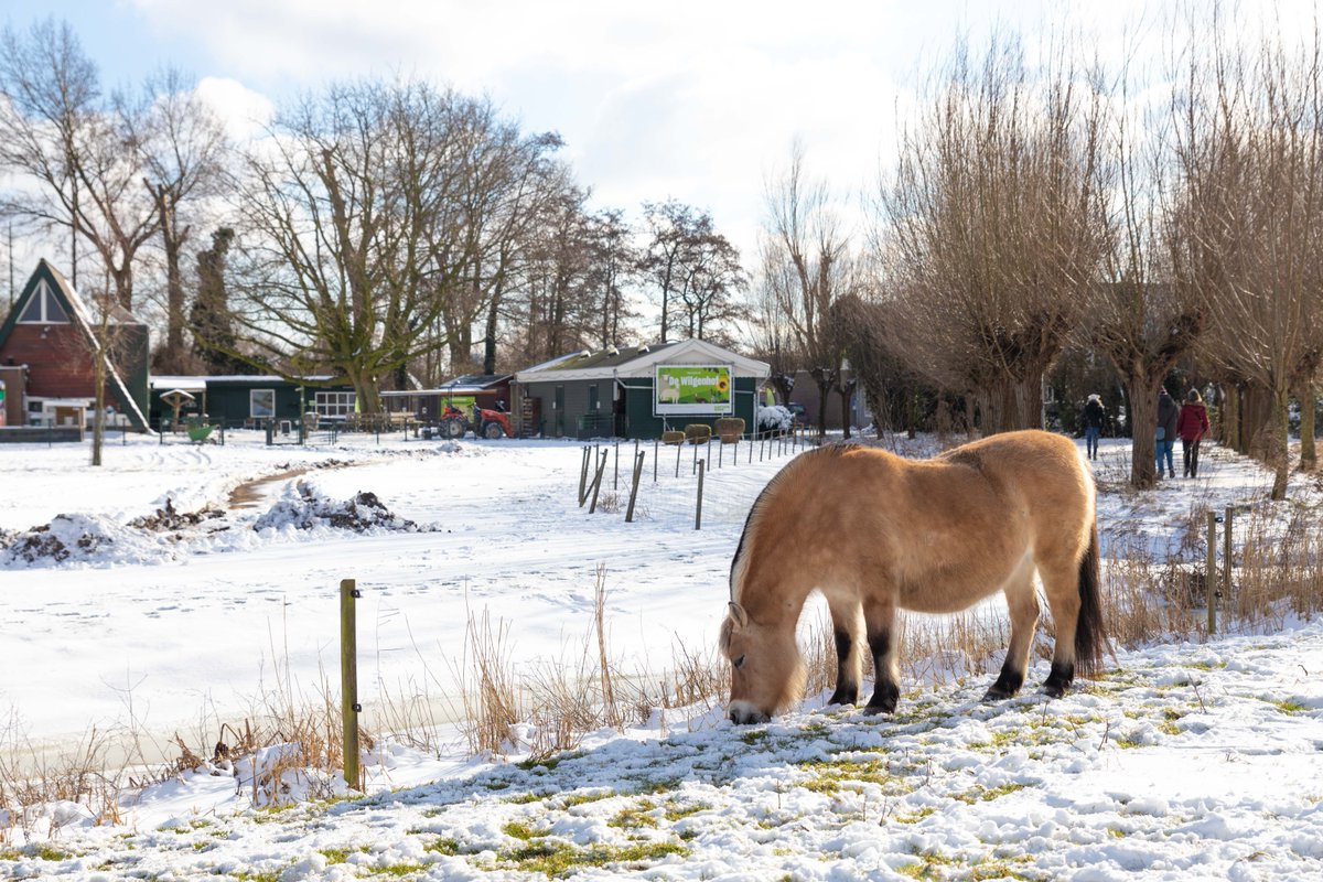 Om in echte winterse sferen te komen, kun je komend weekend op diverse locaties van Natuurstad gezellige winterfeesten bezoeken. Er zijn diverse activiteiten te doen en je kunt genieten van lekkere hapjes en drankjes.

Bekijk alle locaties in de agenda op natuurstad.nl/bezoeken/agenda.