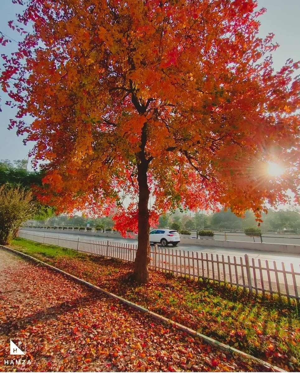 Islamabad The Beautiful tweet media