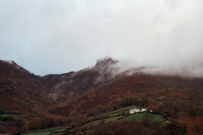 OtrosCinesE's tweet image. #Noticia: Se anuncia el palmarés del #PrimerTest del @RECtgn 2022. Entre los ganadores (proyectos en postproducción), “20.000 especies de abejas” de Estíbaliz Urresola y #NeguHurbilak del Colectivo Negu aparecen cada uno por partida doble.
⬇️⬇️📽️🎞️⬇️⬇️
otroscineseuropa.com/se-anuncian-lo…