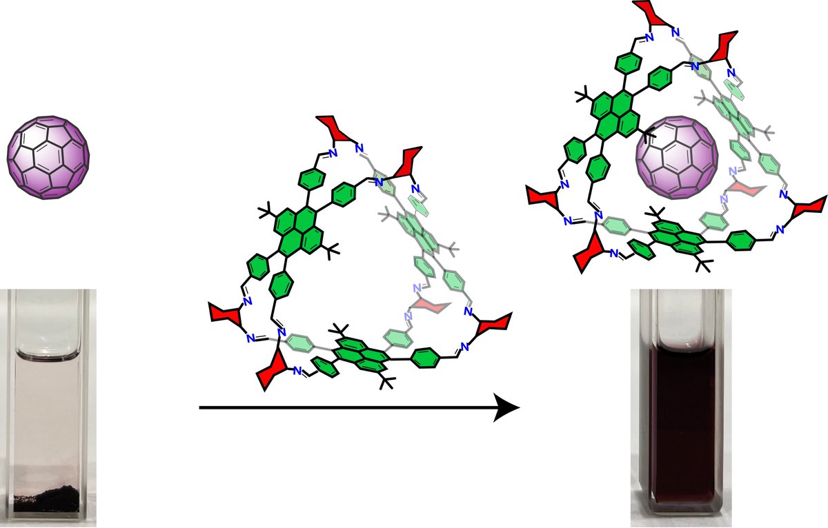 Just out in <a href="/angew_chem/">Angewandte Chemie</a>! Add, stir and dissolve! <a href="/BeraSaibal/">SAIBAL BERA</a>'s pyrene nanobarrel is able to dissolve C60 in solvents in which C60 is insoluble! 👉onlinelibrary.wiley.com/doi/10.1002/an…
