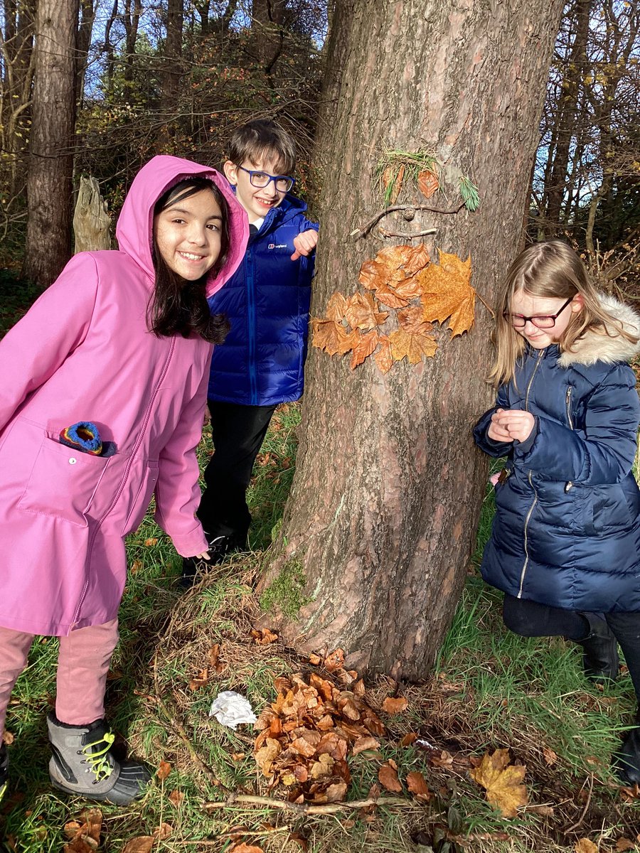 MrsJamiesonCPS's tweet photo. Here are our mysterious tree creatures. https://t.co/JBwiXX5gDb