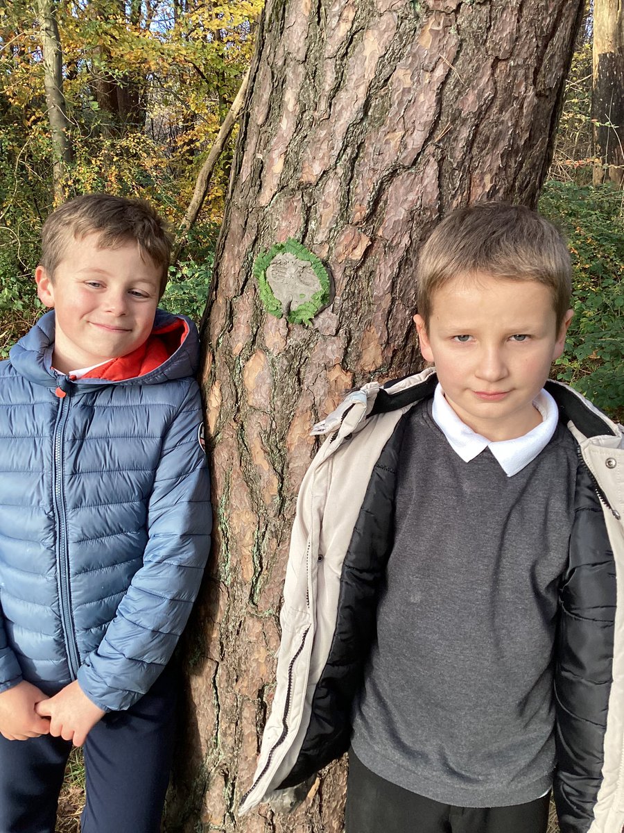 MrsJamiesonCPS's tweet photo. Here are our mysterious tree creatures. https://t.co/JBwiXX5gDb