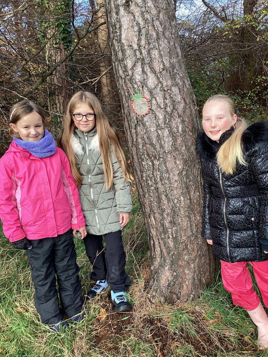 MrsJamiesonCPS's tweet photo. Here are our mysterious tree creatures. https://t.co/JBwiXX5gDb