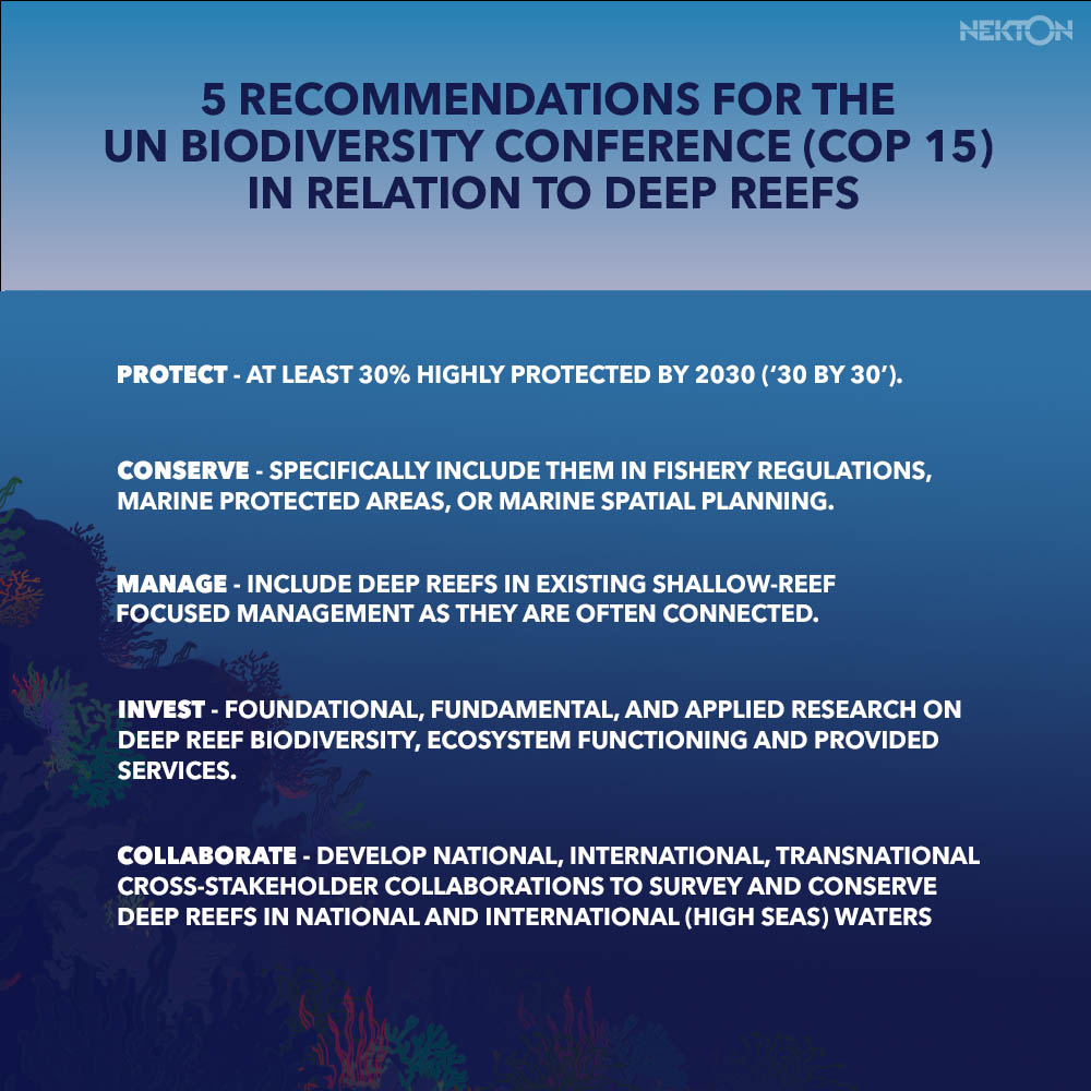 nektonmission's tweet photo. Deep reefs are critical to a healthy marine ecosystem &amp; face similar threats from overfishing, pollution &amp; climate change faced by the much-imperilled shallow reef system.

Researchers call on policymakers at #COP15 to put in place actions &amp; targets to protect #DeepReefs https://t.co/F9yDxdNFgz