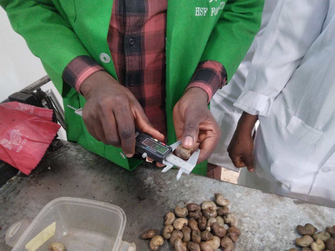 ProsperCashew's tweet photo. 🤝 🌱🌱🌱It takes expertise, teamwork, and commitment to shine a light on opportunities and remove barriers on the path to an abundant, #equitable future. 

#CIV225
#Nigeria
#Abuja
#Ghana
#africa
#cashew https://t.co/3lRBe1kaPW