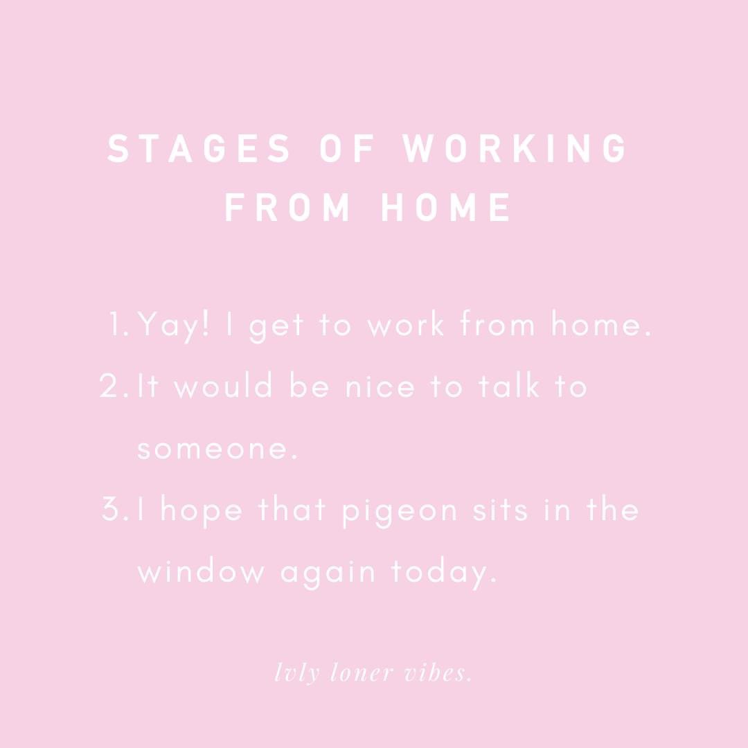 🙋🏻