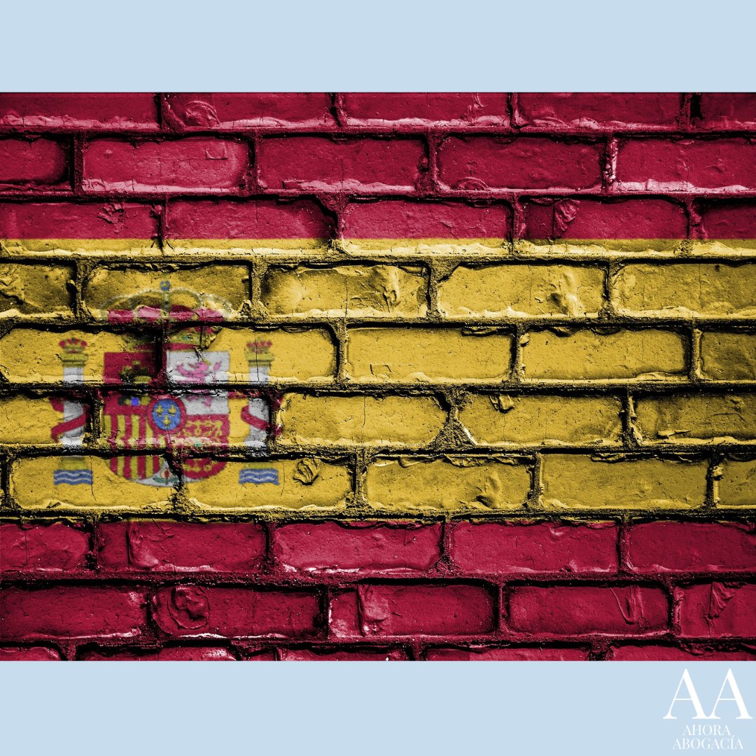 Art 49.2: Los poderes públicos realizarán las políticas necesarias para garantizar la plena autonomía personal e inclusión social de las personas con discapacidad.